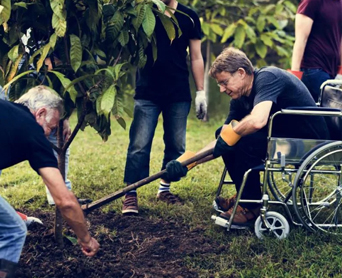 Participation in the Community